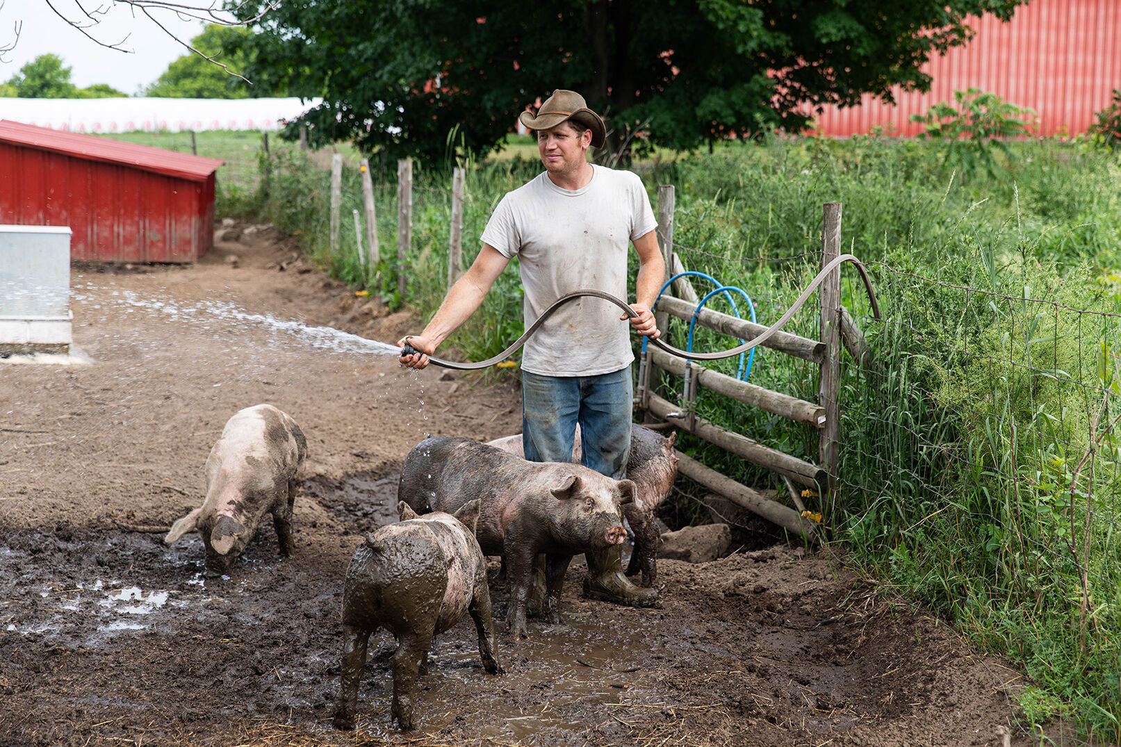 ####_MAGS_pigs_ss-5.jpg-web